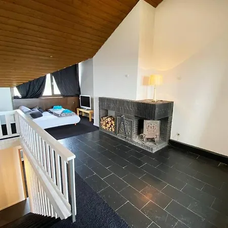 Penthouse Mitten Im Bayerischen Wald +netflix +aussicht = Super Cozy سانكت انجلمار